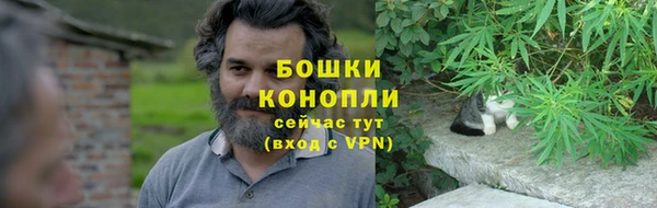 сатива Верея