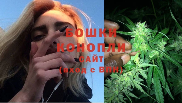 гидра Бугульма