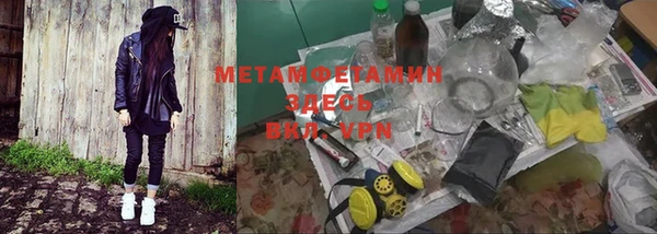 сатива Верея