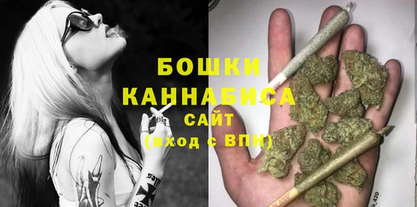 сатива Верея