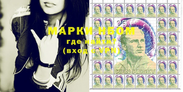 сатива Верея