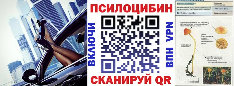 Купить где  Кущёвская  Галлюциногенные грибы Cubensis 